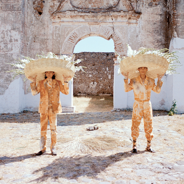 NATURAL DYES By The Pack