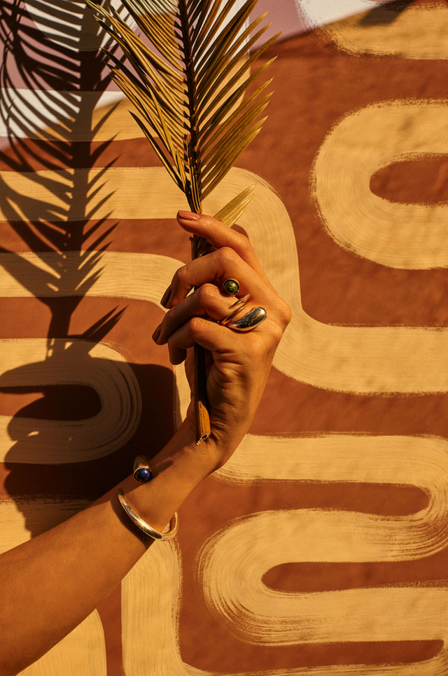 The evolution of shapes by Aysha Bilgrami.