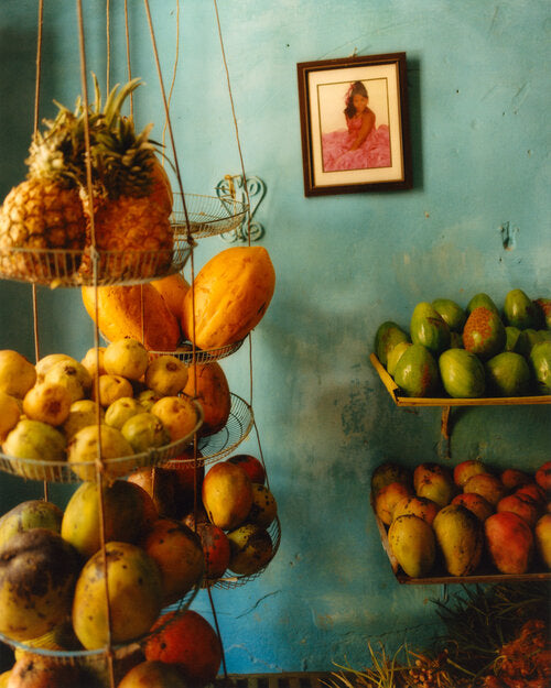 STILL LIFES AND INTENSE COLORS By Andrew Jacobs