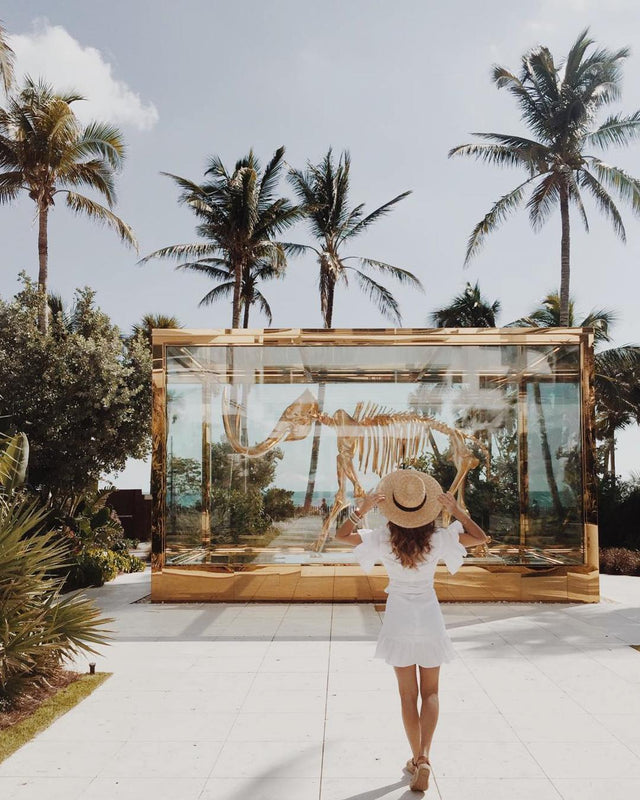 WHERE TO STAY? The Miami Issue