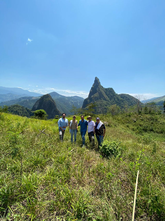 MUZO: THE LAND OF GREEN STONES