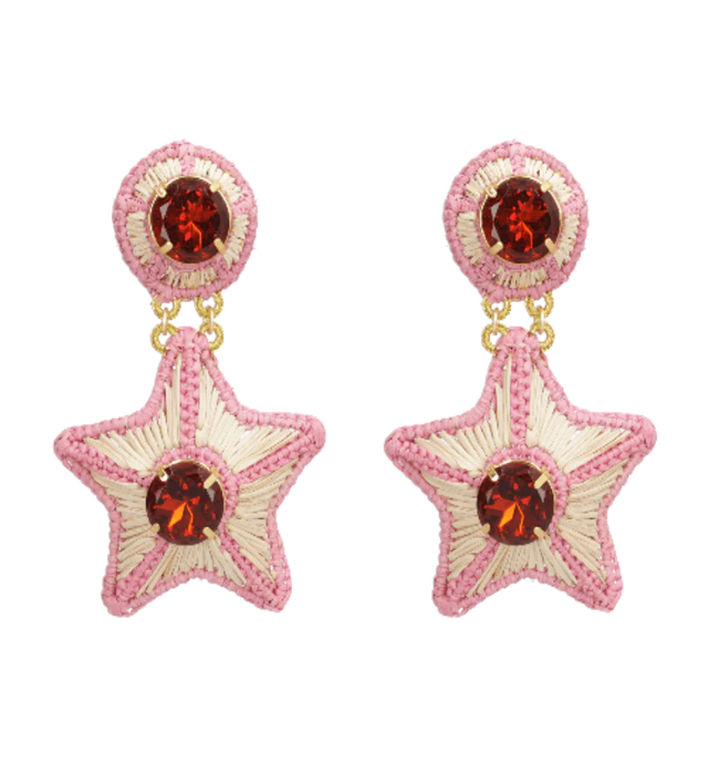 FLEETING EARRINGS