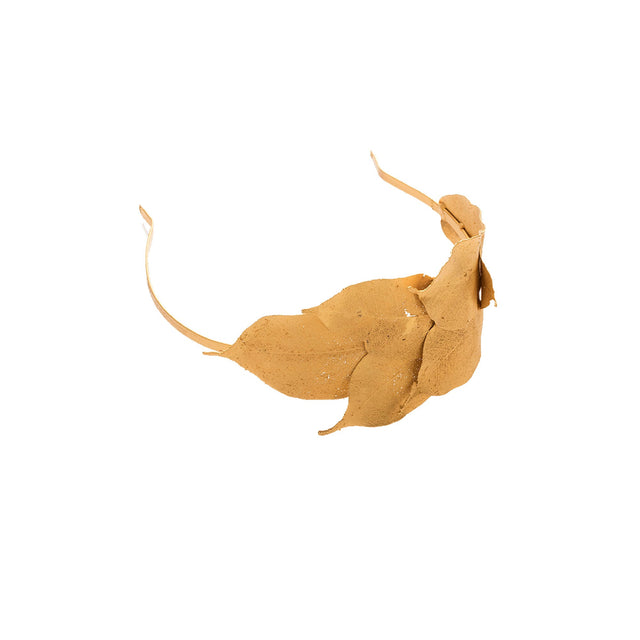 Skeleton Leaf Tiara