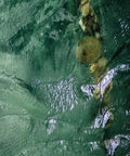 Pieces inspired by WATER