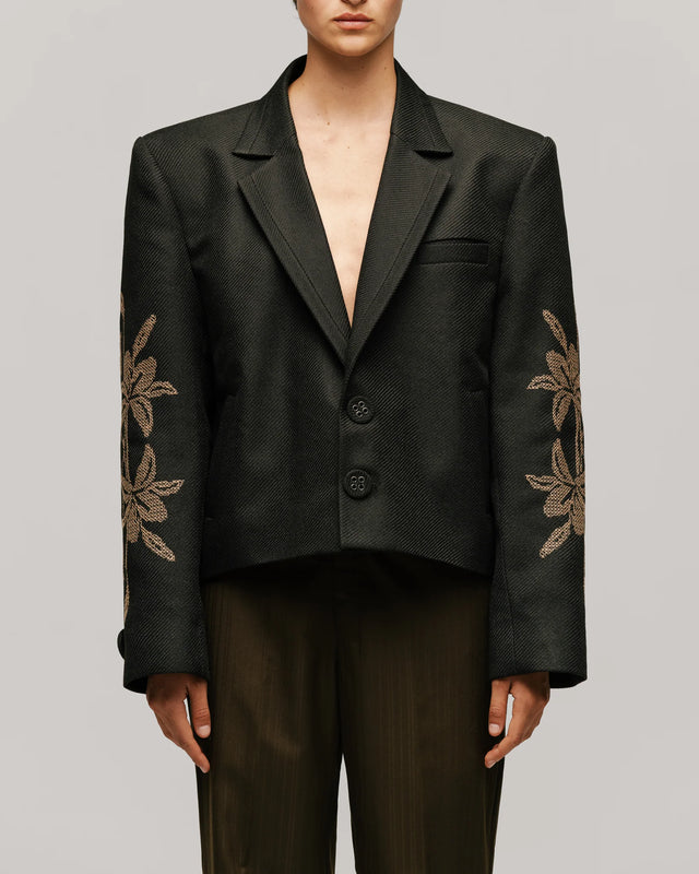 Blazer Alirio Punto Cruz