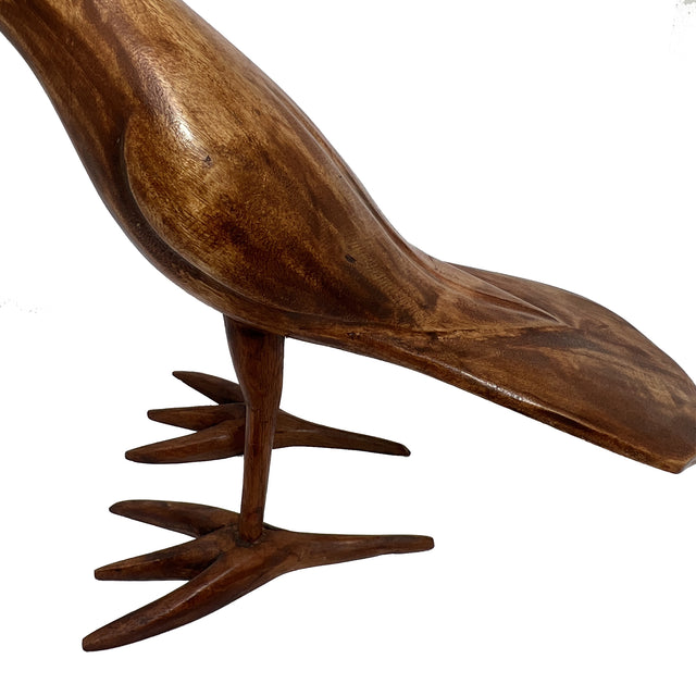 Caribbean Toucan In Wood